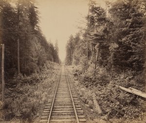 Hemlockbos door William H. Rau