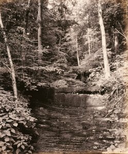 Owasco Lake, Cascade Glen, voor de Lehigh Valley Railroad door William H. Rau
