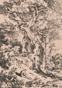 Studie van bomen en struiken met zittende mannelijke figuur