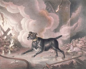 De hond van de Londense brandweerman door William Heath
