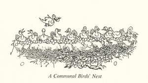 Een Gemeenschappelijk Vogelnest door William Heath Robinson