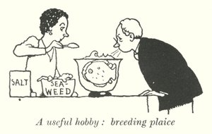 Een nuttige hobby, het kweken van schol (litho) door William Heath Robinson