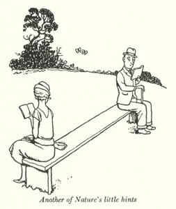 Nog een hint van de natuur (litho)