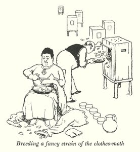 Het kweken van een bijzondere soort kleermot (litho) door William Heath Robinson