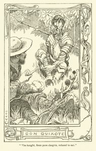 Illustratie voor Don Quichot