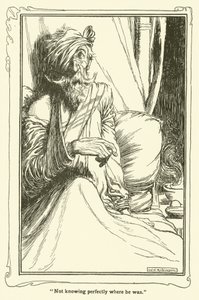 Illustratie voor Don Quichot door William Heath Robinson