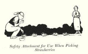 Veiligheidsbevestiging voor Gebruik bij het Plukken van Aardbeien door William Heath Robinson