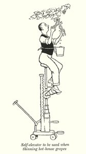 Zelfheffer voor het uitdunnen van kasdruiven door William Heath Robinson