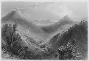 Glen of the Downs (gravure) door William Henry (after) Bartlett