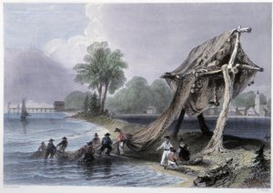 Wellington, vissen op Lake Ontario - in "Canadian scenery illustrated" door Bartlett W. H.