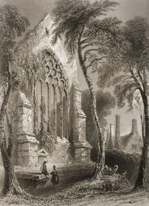 Youghal Abbey, County Cork, Ierland, uit 