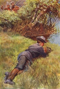Illustratie voor The Gorilla Hunters door R M Ballantyne door William Henry Charles Groome