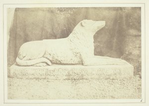 Effigie van Sir W. Scott