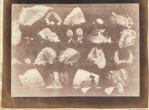Het Etalage van de Hoedenmaker door William Henry Fox Talbot
