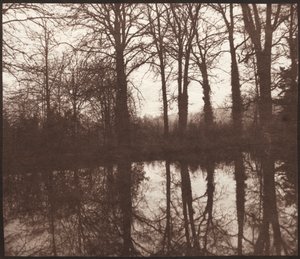 Winterbomen weerspiegeld in een vijver, 1841-42 door William Henry Fox Talbot