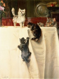 Katten door William Henry Hamilton Trood