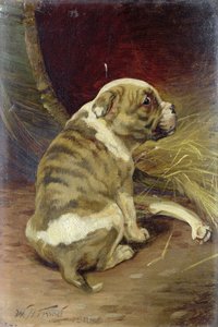 Geef een Hond een Bot, 1888