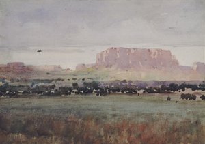 In het Plateaugebied, Colorado