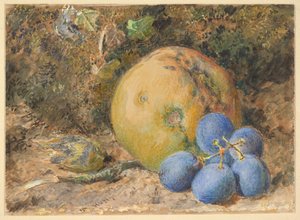  door William Henry Hunt