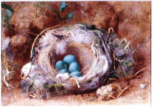 Vogelnest, circa 1825-1850 door William Henry Hunt