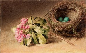 Vogelnest met bloesem