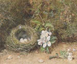 Vogelnest met takken van appelbloesems, c.1845-50
