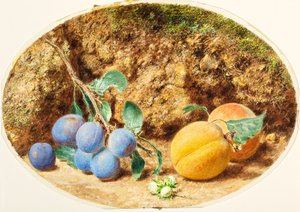 Paarse pruimen, abrikozen en houtnoten, c.1860
