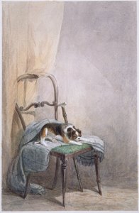 Studie van een hond op een stoel door William Henry Hunt