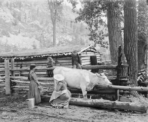 Bergmelkmeisjes in Colorado, ca. 1900 (zwart-wit foto) door William Henry Jackson