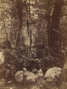Het pad in West Gallatin Canyon, ca. 1870s door William Henry Jackson