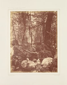 Het pad in het bos, Gallatin Cañon door William Henry Jackson