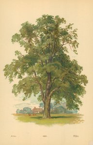 As