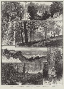 Schetsen in Highgate Woods