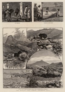 De Wynaad Goudvelden, Zuid-India door William Henry James Boot