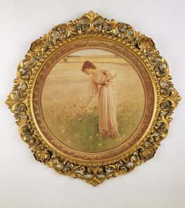 Bloemen van het veld