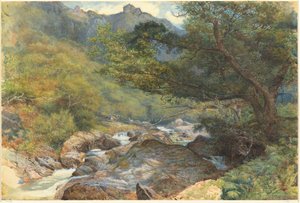 Aan de East Lyn, Noord-Devon door William Henry Millais