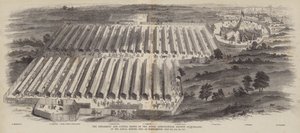 De werktuig- en veeshows van de Royal Agricultural Society of England, op de jaarlijkse bijeenkomst gehouden in Northampton, 20, 21, 22 juli 1847