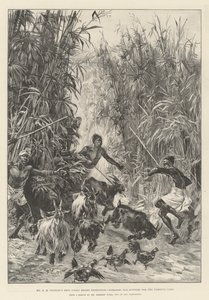 De Emin Pasha Relief Expedition van Mr H M Stanley, op zoek naar voorraden voor het Yambuya-kamp door William Heysham Overend