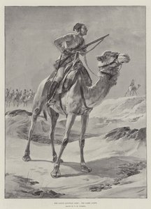 Het Inheemse Egyptische Leger, het Kameelkorps