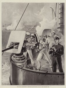 De Marine Manoeuvres, Hotchkiss Snelvuurkanonnen in de Militaire Top
