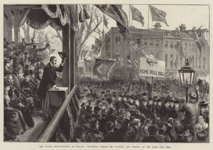 De Ulster Demonstratie in Belfast, Processie langs Mr Balfour, en verbranding van de Home Rule Bill door William Heysham Overend