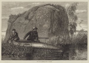 Eendenjacht, westen van Ierland