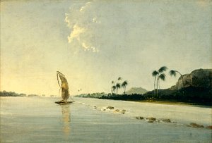 Uitzicht op een deel van het eiland Ulietea [Raiatea]