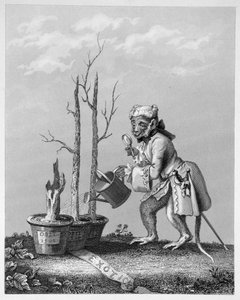 Staartstuk voor de kunstenaarscatalogus, 1761