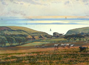 Fairlight Downs, zonlicht op de zee
