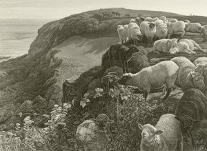 Op de heuvel (gravure) door William Holman Hunt