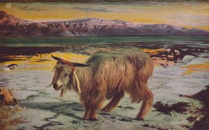 De zondebok, 1856, c. 1950
