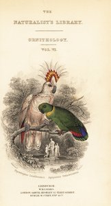 Titelpagina met vignette van Major Mitchell