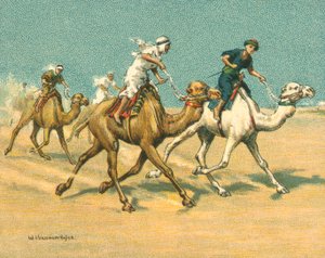 Historische en Moderne Races, Kameelraces (chromolitho) door William Hounsom Byles