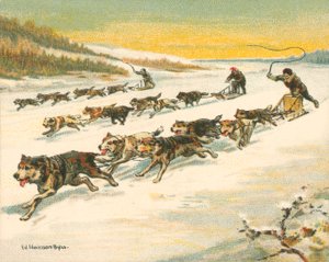 Historische en moderne races, Canadese hondensleeraces (chromolitho) door William Hounsom Byles